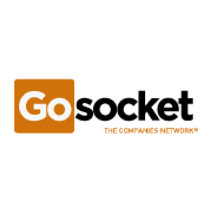 clientes_go socket