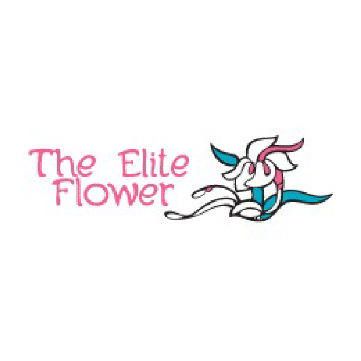 clientes_the elite flower